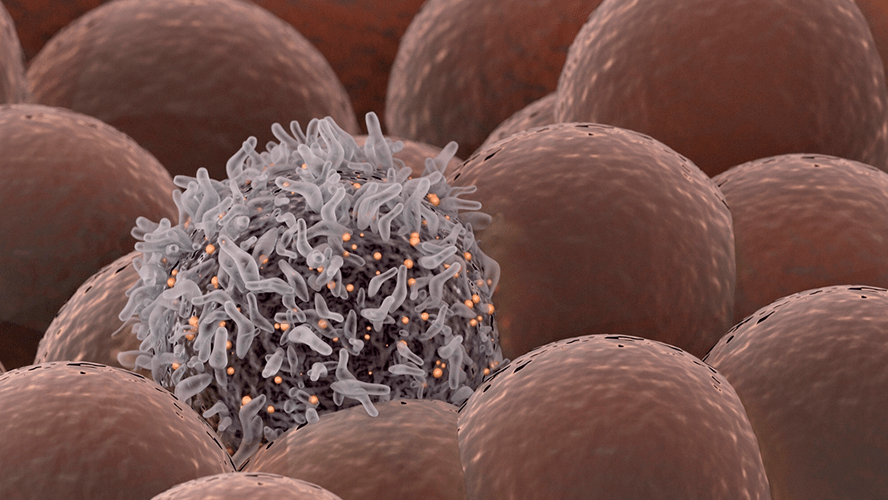 ¿cómo se crean las células cancerosas