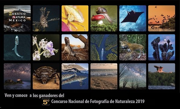 Premian las mejores fotografías de la naturaleza mexicana